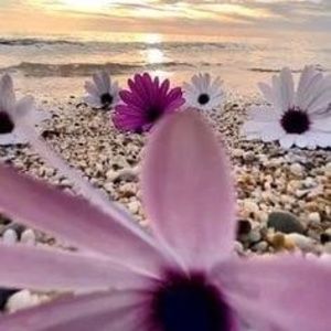 Meet your Posher, Natalia isabel